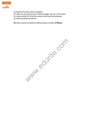 22. Mention the three colors of rainbow. 
23. When do we see the moon? Which is bigger, the sun or the moon? 
24. How do birds fly? Write the names of two birds that eat grains. 
25. Which animals eat insects? 
26. Draw a plant and label the different parts of a plant. (5 Marks) 
www.edurite.com 
