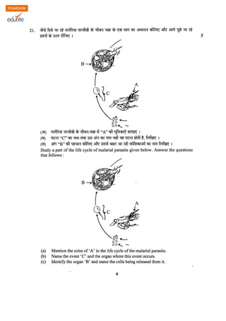Class 11 Cbse Biology Question Paper 2012