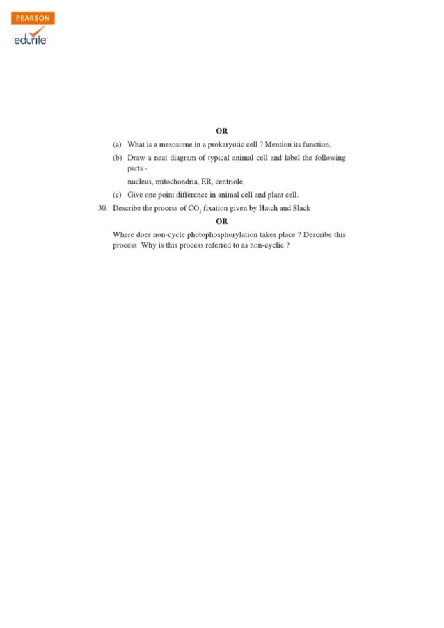 Class 11 Biology Sample Paper Class 11 Cbse Biology Sample Paper 2012