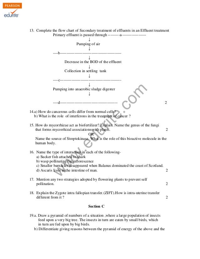 Applications of derivatives pdf notes image