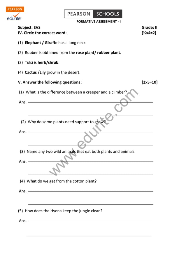 Class 2 CBSE EVS Question Paper PDF