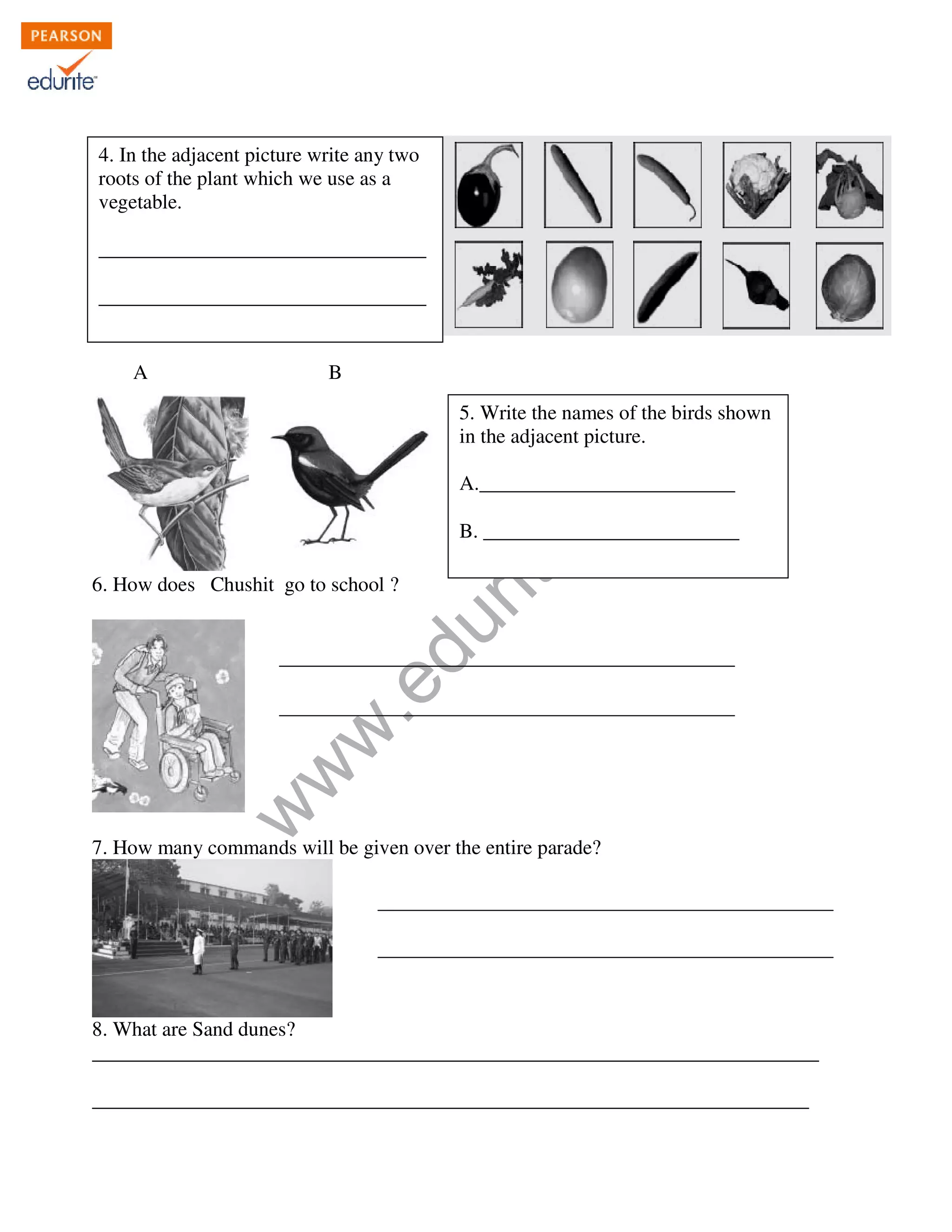4. In the adjacent picture write any two 
roots of the plant which we use as a 
vegetable. 
________________________________ 
________________________________ 
A B 
www.edurite.com 
6. How does Chushit go to school ? 
5. Write the names of the birds shown 
in the adjacent picture. 
A._________________________ 
B. _________________________ 
7. How many commands will be given over the entire parade? 
8. What are Sand dunes? 
_______________________________________________________________________ 
______________________________________________________________________ 
 