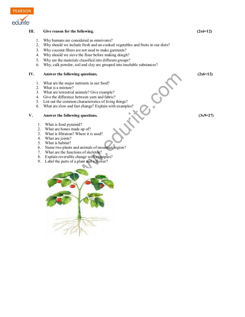Class 6 cbse science sample paper term 1