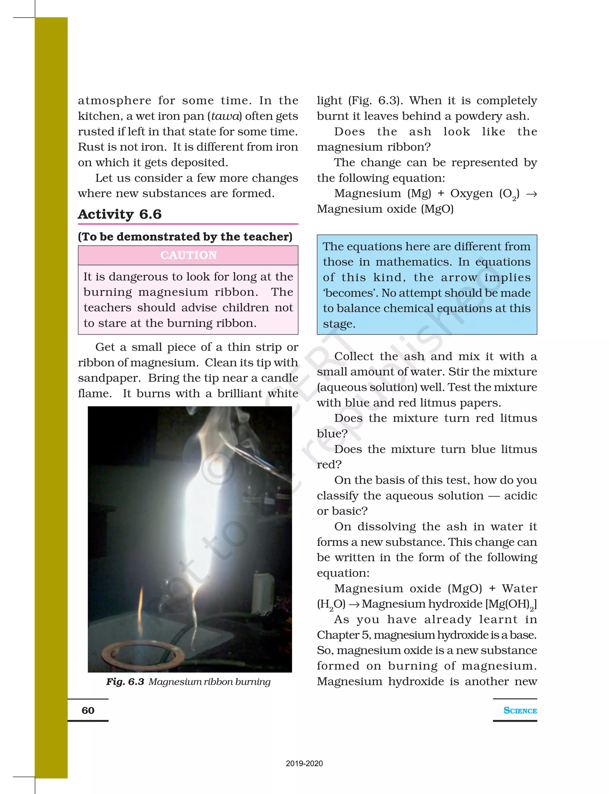 SCIENCE
60
light (Fig. 6.3). When it is completely
burnt it leaves behind a powdery ash.
Does the ash look like the
magnesium ribbon?
The change can be represented by
the following equation:
Magnesium (Mg) + Oxygen (O2
) →
Magnesium oxide (MgO)
Fig. 6.3 Magnesium ribbon burning
atmosphere for some time. In the
kitchen, a wet iron pan (tawa) often gets
rusted if left in that state for some time.
Rust is not iron. It is different from iron
on which it gets deposited.
Let us consider a few more changes
where new substances are formed.
Activity 6.6
(To be demonstrated by the teacher)
CAUTION
It is dangerous to look for long at the
burning magnesium ribbon. The
teachers should advise children not
to stare at the burning ribbon.
Get a small piece of a thin strip or
ribbon of magnesium. Clean its tip with
sandpaper. Bring the tip near a candle
flame. It burns with a brilliant white
Collect the ash and mix it with a
small amount of water. Stir the mixture
(aqueous solution) well. Test the mixture
with blue and red litmus papers.
Does the mixture turn red litmus
blue?
Does the mixture turn blue litmus
red?
On the basis of this test, how do you
classify the aqueous solution — acidic
or basic?
On dissolving the ash in water it
forms a new substance. This change can
be written in the form of the following
equation:
Magnesium oxide (MgO) + Water
(H2
O) → Magnesium hydroxide [Mg(OH)2
]
As you have already learnt in
Chapter 5,magnesiumhydroxideisabase.
So, magnesium oxide is a new substance
formed on burning of magnesium.
Magnesium hydroxide is another new
The equations here are different from
those in mathematics. In equations
of this kind, the arrow implies
‘becomes’. No attempt should be made
to balance chemical equations at this
stage.
2019-2020
 