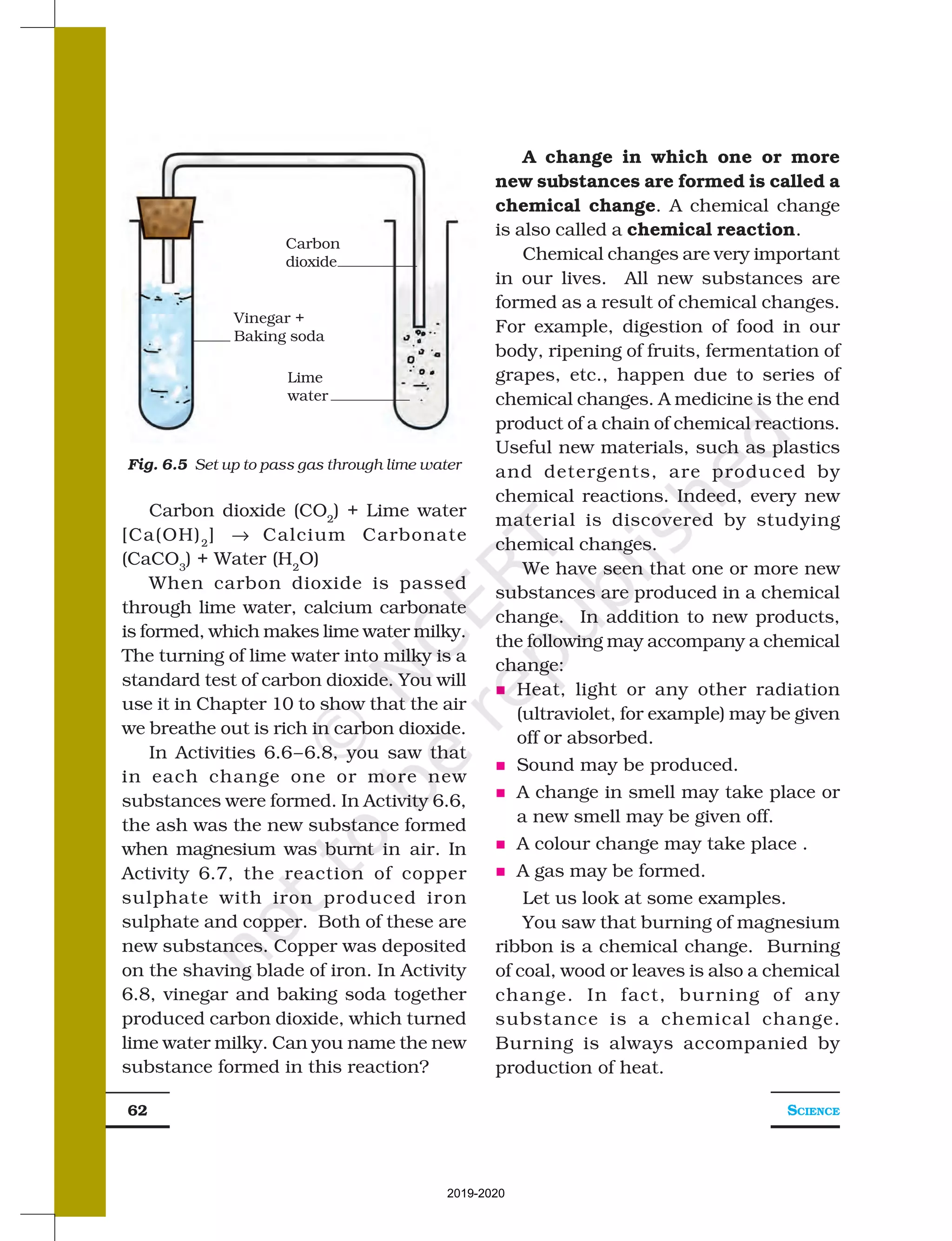 SCIENCE
62
Carbon dioxide (CO2
) + Lime water
[Ca(OH)2
] → Calcium Carbonate
(CaCO3
) + Water (H2
O)
When carbon dioxide is passed
through lime water, calcium carbonate
is formed, which makes lime water milky.
The turning of lime water into milky is a
standard test of carbon dioxide. You will
use it in Chapter 10 to show that the air
we breathe out is rich in carbon dioxide.
In Activities 6.6–6.8, you saw that
in each change one or more new
substances were formed. In Activity 6.6,
the ash was the new substance formed
when magnesium was burnt in air. In
Activity 6.7, the reaction of copper
sulphate with iron produced iron
sulphate and copper. Both of these are
new substances. Copper was deposited
on the shaving blade of iron. In Activity
6.8, vinegar and baking soda together
produced carbon dioxide, which turned
lime water milky. Can you name the new
substance formed in this reaction?
A change in which one or more
new substances are formed is called a
chemical change. A chemical change
is also called a chemical reaction.
Chemical changes are very important
in our lives. All new substances are
formed as a result of chemical changes.
For example, digestion of food in our
body, ripening of fruits, fermentation of
grapes, etc., happen due to series of
chemical changes. A medicine is the end
product of a chain of chemical reactions.
Useful new materials, such as plastics
and detergents, are produced by
chemical reactions. Indeed, every new
material is discovered by studying
chemical changes.
We have seen that one or more new
substances are produced in a chemical
change. In addition to new products,
the following may accompany a chemical
change:
n Heat, light or any other radiation
(ultraviolet, for example) may be given
off or absorbed.
n Sound may be produced.
n A change in smell may take place or
a new smell may be given off.
n A colour change may take place .
n A gas may be formed.
Let us look at some examples.
You saw that burning of magnesium
ribbon is a chemical change. Burning
of coal, wood or leaves is also a chemical
change. In fact, burning of any
substance is a chemical change.
Burning is always accompanied by
production of heat.
Fig. 6.5 Set up to pass gas through lime water
Vinegar +
Baking soda
Carbon
dioxide
Lime
water
2019-2020
 