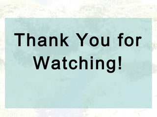 Thank You for
Watching!
 