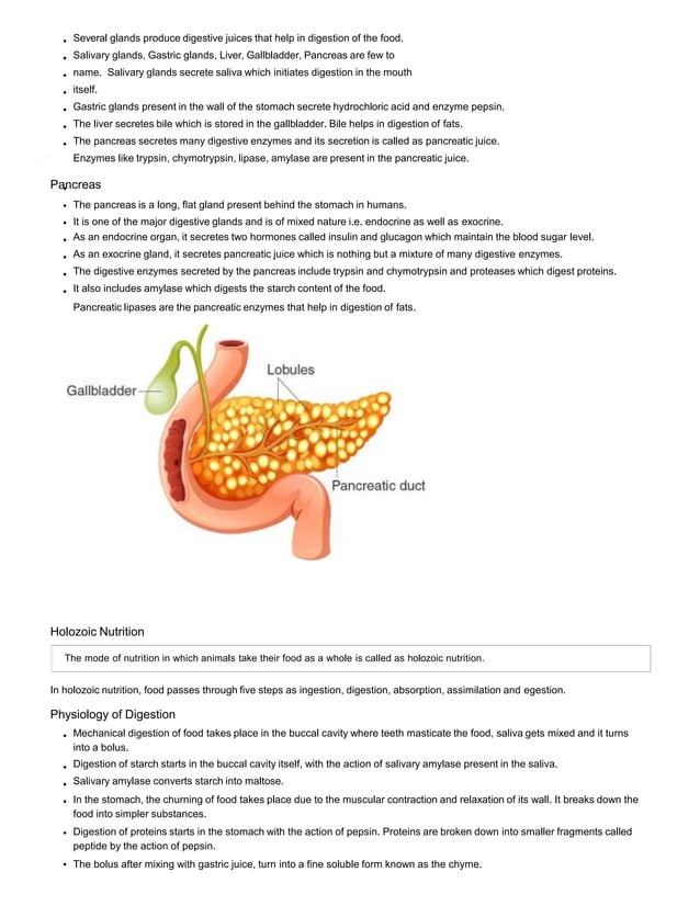 Cbse class 10 science life processes notes PDF