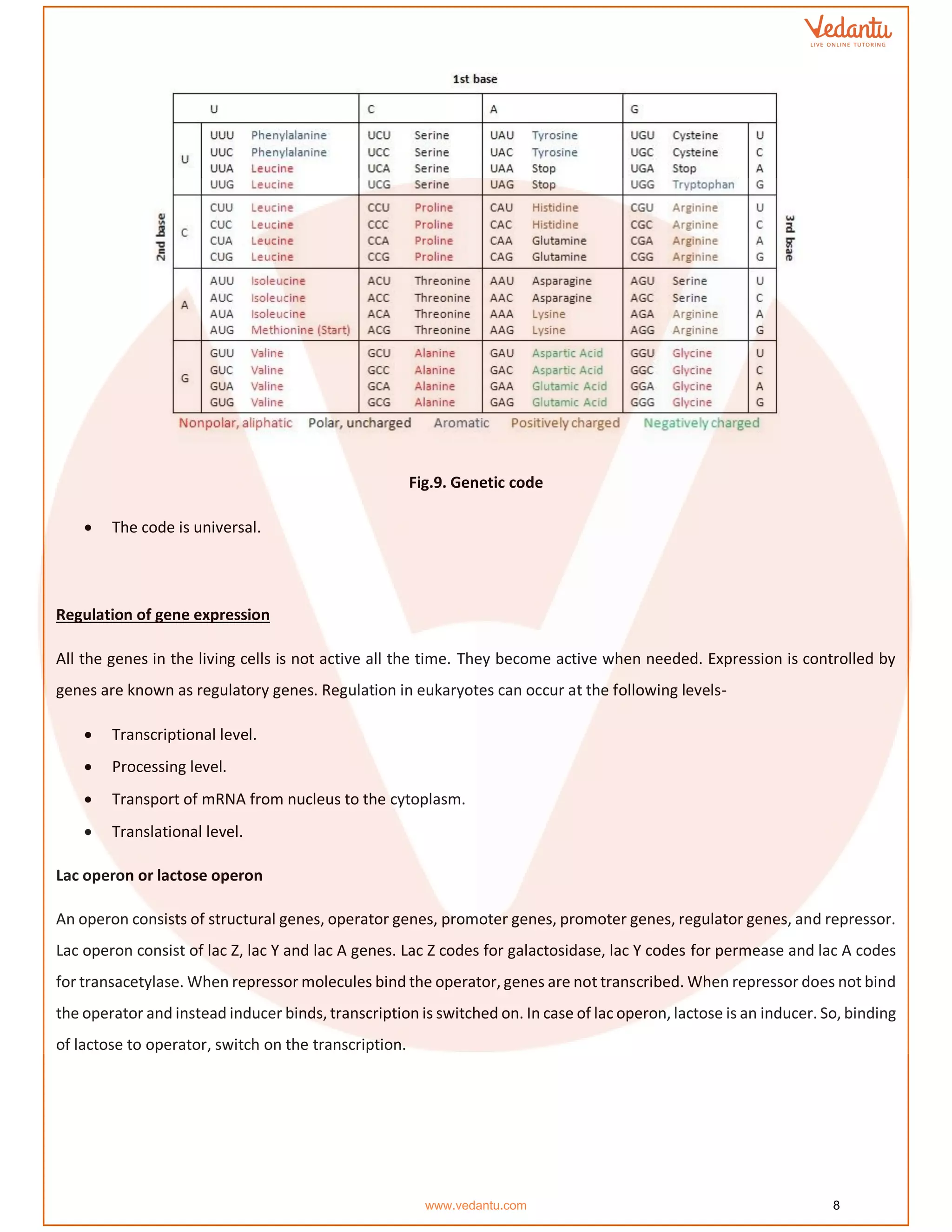 Fig.9. Genetic code
• The code is universal.
Regulation of gene expression
All the genes in the living cells is not active all the time. They become active when needed. Expression is controlled by
genes are known as regulatory genes. Regulation in eukaryotes can occur at the following levels-
• Transcriptional level.
• Processing level.
• Transport of mRNA from nucleus to the cytoplasm.
• Translational level.
Lac operon or lactose operon
An operon consists of structural genes, operator genes, promoter genes, promoter genes, regulator genes, and repressor.
Lac operon consist of lac Z, lac Y and lac A genes. Lac Z codes for galactosidase, lac Y codes for permease and lac A codes
for transacetylase. When repressor molecules bind the operator, genes are not transcribed. When repressor does not bind
the operator and instead inducer binds, transcription is switched on. In case of lac operon, lactose is an inducer. So, binding
of lactose to operator, switch on the transcription.
www.vedantu.com 8
 
