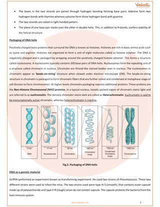 CBSE Class 12 Biology Chapter 6 revision notes of Molecular basis of ...