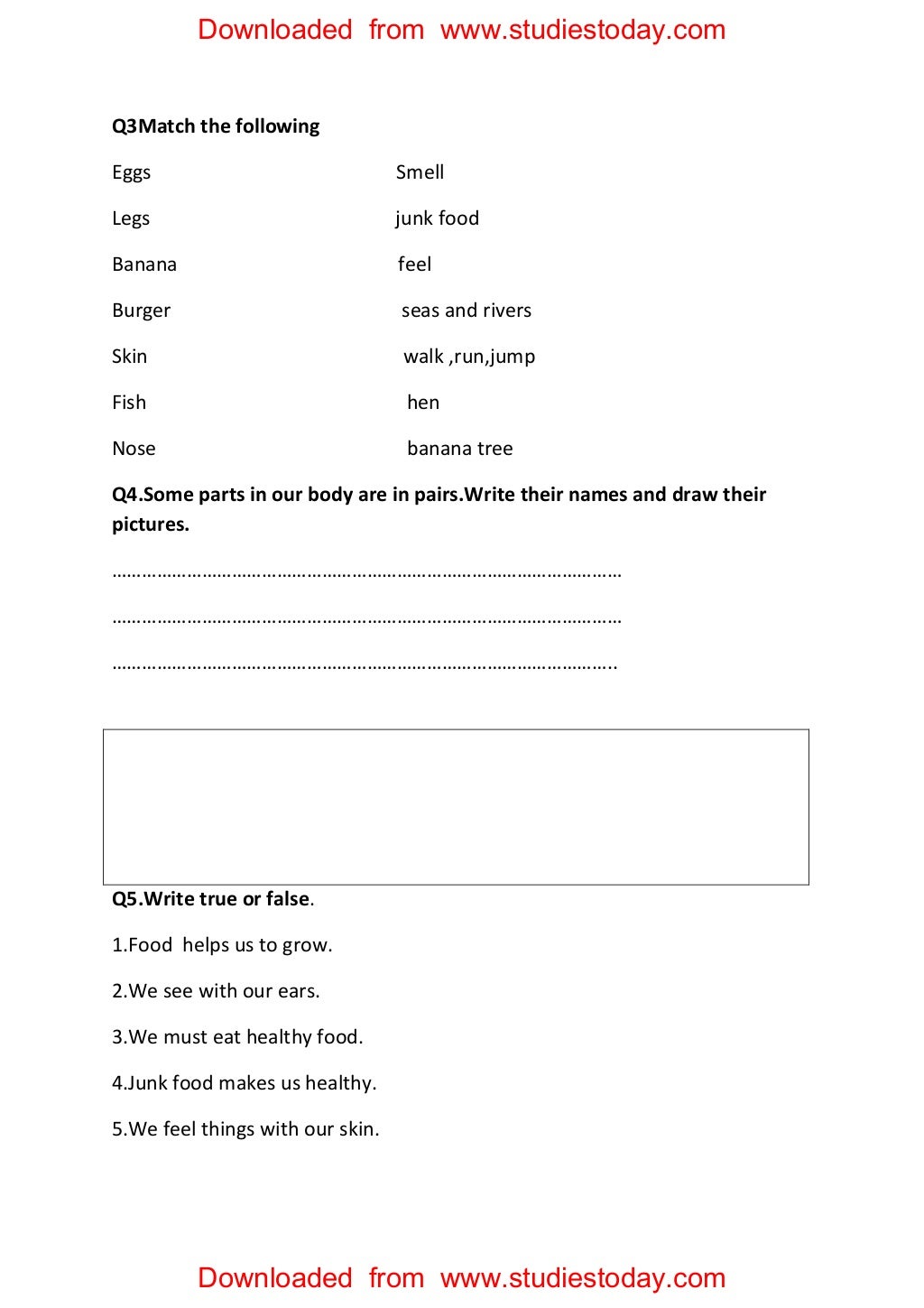 cbse class 2 evs practice worksheets 30 myself body parts