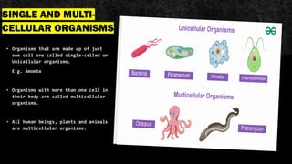 PPT FOR CBSE CLASS 7 SCINCE SUBJECT UNIT 1: CBSE CLASS 7 UNIT 1 SCIENCE ...