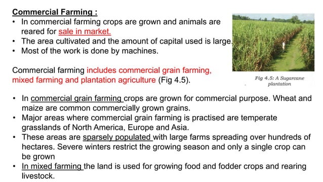 research topics on agricultural geography