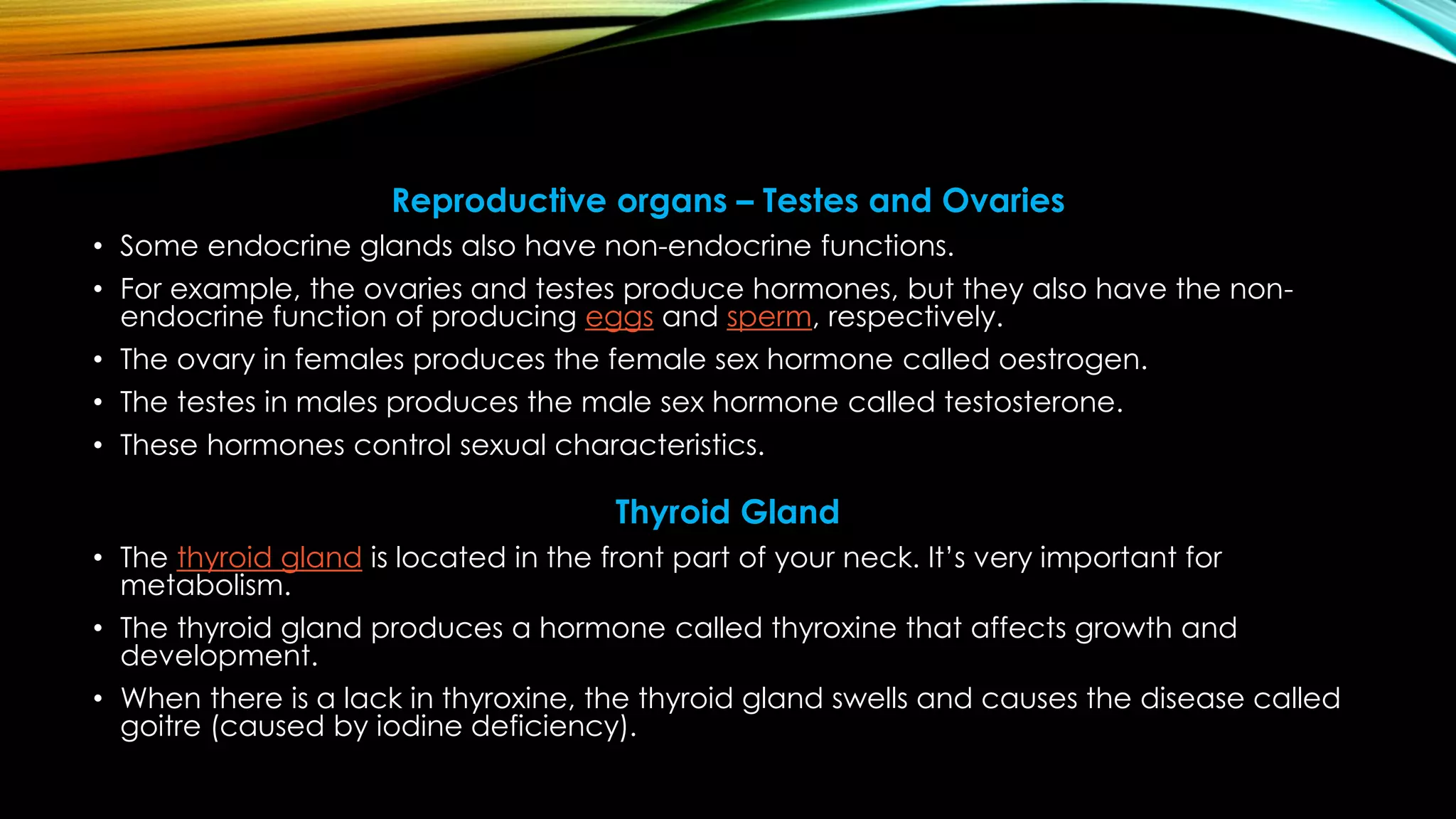 Reproductive organs – Testes and Ovaries
• Some endocrine glands also have non-endocrine functions.
• For example, the ovaries and testes produce hormones, but they also have the non-
endocrine function of producing eggs and sperm, respectively.
• The ovary in females produces the female sex hormone called oestrogen.
• The testes in males produces the male sex hormone called testosterone.
• These hormones control sexual characteristics.
Thyroid Gland
• The thyroid gland is located in the front part of your neck. It’s very important for
metabolism.
• The thyroid gland produces a hormone called thyroxine that affects growth and
development.
• When there is a lack in thyroxine, the thyroid gland swells and causes the disease called
goitre (caused by iodine deficiency).
 