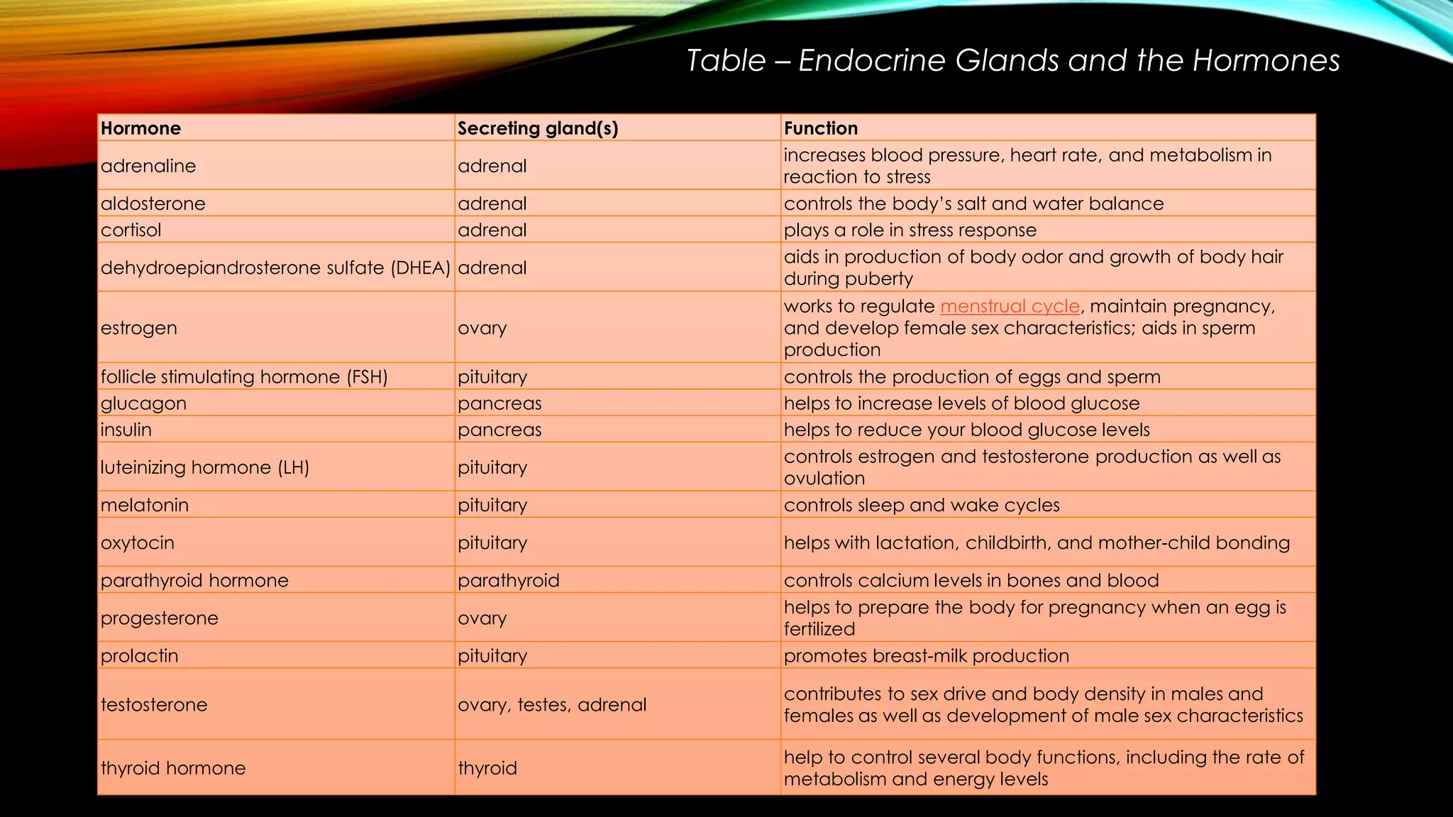 Hormone Secreting gland(s) Function
adrenaline adrenal
increases blood pressure, heart rate, and metabolism in
reaction to stress
aldosterone adrenal controls the body’s salt and water balance
cortisol adrenal plays a role in stress response
dehydroepiandrosterone sulfate (DHEA) adrenal
aids in production of body odor and growth of body hair
during puberty
estrogen ovary
works to regulate menstrual cycle, maintain pregnancy,
and develop female sex characteristics; aids in sperm
production
follicle stimulating hormone (FSH) pituitary controls the production of eggs and sperm
glucagon pancreas helps to increase levels of blood glucose
insulin pancreas helps to reduce your blood glucose levels
luteinizing hormone (LH) pituitary
controls estrogen and testosterone production as well as
ovulation
melatonin pituitary controls sleep and wake cycles
oxytocin pituitary helps with lactation, childbirth, and mother-child bonding
parathyroid hormone parathyroid controls calcium levels in bones and blood
progesterone ovary
helps to prepare the body for pregnancy when an egg is
fertilized
prolactin pituitary promotes breast-milk production
testosterone ovary, testes, adrenal
contributes to sex drive and body density in males and
females as well as development of male sex characteristics
thyroid hormone thyroid
help to control several body functions, including the rate of
metabolism and energy levels
Table – Endocrine Glands and the Hormones
 