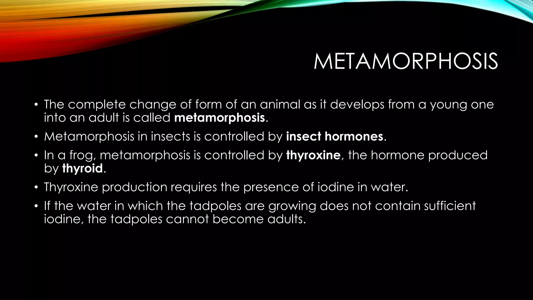 METAMORPHOSIS
• The complete change of form of an animal as it develops from a young one
into an adult is called metamorphosis.
• Metamorphosis in insects is controlled by insect hormones.
• In a frog, metamorphosis is controlled by thyroxine, the hormone produced
by thyroid.
• Thyroxine production requires the presence of iodine in water.
• If the water in which the tadpoles are growing does not contain sufficient
iodine, the tadpoles cannot become adults.
 