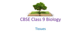 CBSE Class 9 Biology
Tissues
 