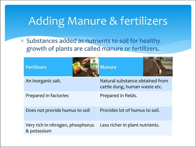 Cbse Class Viii Crop Production Management