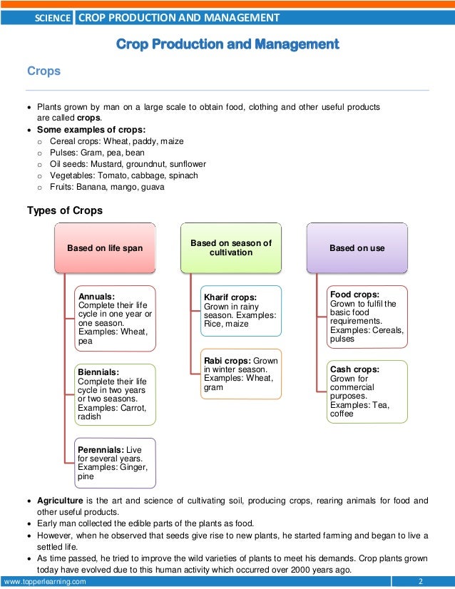 CBSE Class 8 Crop Production and Management TopperLearnig