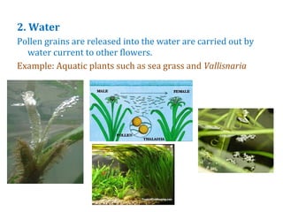 Cbse grade 7 chapter 11 reproduction in plants | PPT
