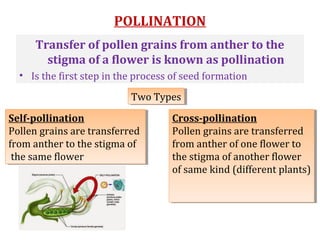 cbsegrade7-chapter11reproductioninplants-170308085837 (1).pdf