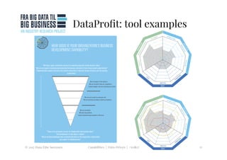 DataProﬁt: tool examples
© 2017 Hans Eibe Sørensen
 Capabilities | Data-Driven | #icdk17
 12
 
