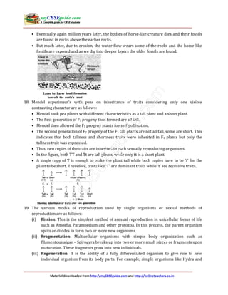 Material downloaded from http://myCBSEguide.com and http://onlineteachers.co.in
• Eventually again million years later, the bodies of horse-like creature dies and their fossils
are found in rocks above the earlier rocks.
• But much later, due to erosion, the water flow wears some of the rocks and the horse-like
fossils are exposed and as we dig into deeper layers the older fossils are found.
18. Mendel experiment’s with peas on inheritance of traits considering only one visible
contrasting character are as follows:
• Mendel took pea plants with different characteristics as a tall plant and a short plant.
• The first generation of F1 progeny thus formed are all tall.
• Mendel then allowed the F1 progeny plants foe self-pollination.
• The second generation of F2 progeny of the F1 tall plants are not all tall, some are short. This
indicates that both tallness and shortness traits were inherited in F1 plants but only the
tallness trait was expressed.
• Thus, two copies of the traits are inherited in each sexually reproducing organisms.
• In the figure, both TT and Tt are tall plants, while only tt is a short plant.
• A single copy of T is enough to make the plant tall while both copies have to be ‘t’ for the
plant to be short. Therefore, traits like ‘T’ are dominant traits while ‘t’ are recessive traits.
19. The various modes of reproduction used by single organisms or sexual methods of
reproduction are as follows:
(i) Fission: This is the simplest method of asexual reproduction in unicellular forms of life
such as Amoeba, Paramoecium and other protozoa. In this process, the parent organism
splits or divides to form two or more new organisms.
(ii) Fragmentation: Multicellular organisms with simple body organization such as
filamentous algae – Spirogyra breaks up into two or more small pieces or fragments upon
maturation. These fragments grow into new individuals.
(iii) Regeneration: It is the ability of a fully differentiated organism to give rise to new
individual organism from its body parts. For example, simple organisms like Hydra and
 