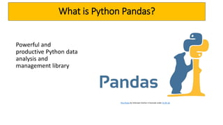 Data Analysis with Python Pandas | PPT