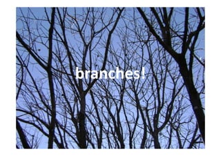 branches!
 
