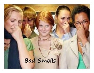 Bad Smells
 