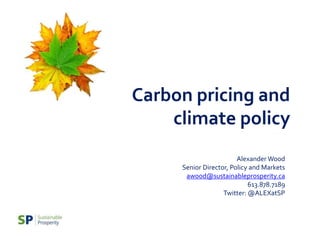 Carbon pricing and
climate policy
Alexander Wood
Senior Director, Policy and Markets
awood@sustainableprosperity.ca
613.878.7189
Twitter: @ALEXatSP
 