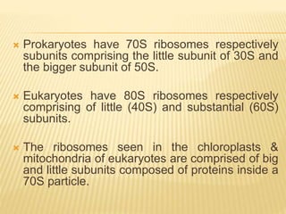 Ribosome.pptx