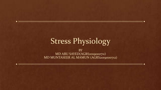 Stress Physiology
BY
MD ABU SAYED(AGRS2019000711)
MD MUNTASEER AL MAMUN (AGRS2019000712)
 