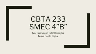 CBTA 233
SMEC 4”B”
Ma. Guadalupe Ortiz Herrejón
Tema: huella digital
 