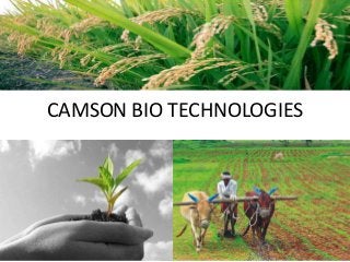 CAMSON BIO TECHNOLOGIES
 