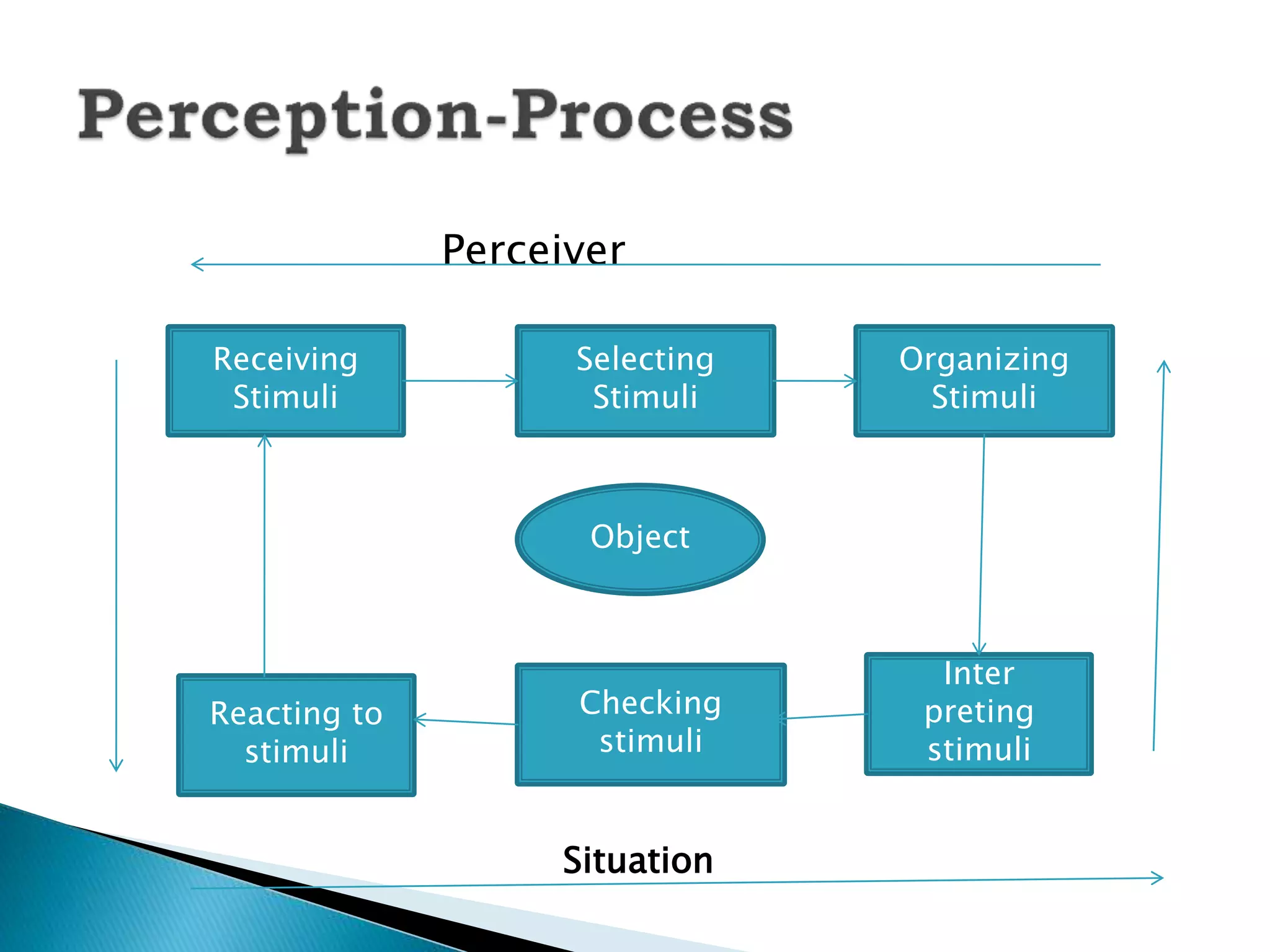 Perceiver
Receiving
Stimuli
Selecting
Stimuli
Organizing
Stimuli
Reacting to
stimuli
Checking
stimuli
Inter
preting
stimuli
Object
Situation
 