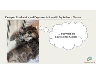 Example: Conductrics and Experimentation with Equivalence Classes
… but what are
Equivalence Classes?
 