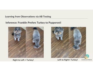 Learning from Observations via AB Testing
Right to Left = Turkey! Left to Right= Turkey!
Inference: Franklin Prefers Turkey to Pupperoni!
 