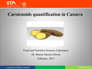 www.iita.orgA member of CGIAR consortium
Carotenoids quantification in Cassava
Food and Nutrition Sciences Laboratory
Dr. Bussie Maziya-Dixon
February, 2017
 