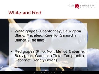 White and Red White grapes (Chardonnay, Sauvignon Blanc, Macabeo, Xarel.lo, Garnacha Blanca y Riesling)   Red grapes (Pinot Noir, Merlot, Cabernet Sauvignon, Garnacha Tinta, Tempranillo, Cabernet Franc y Syrah) 