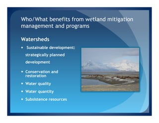 Who/What benefits from wetland mitigation
management and programs

Watersheds
—  Sustainable development:
  strategically planned
  development

—  Conservation and
    restoration  
—  Water quality
—  Water quantity  
—  Subsistence resources 
 