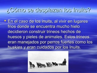 ¿Cómo se desplazan los Inuits?¿Cómo se desplazan los Inuits?
 En el caso de los inuits, al vivir en lugaresEn el caso de los inuits, al vivir en lugares
frios donde se encuentra mucho hielofrios donde se encuentra mucho hielo
decidieron construir trineos hechos dedecidieron construir trineos hechos de
huesos y pieles de animales. Estos trineoshuesos y pieles de animales. Estos trineos
eran manejados por perros fuertes como loseran manejados por perros fuertes como los
huskies y eran cuidados por los Inuits.huskies y eran cuidados por los Inuits.
 