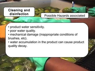 Fresh fruit and vegetable quality and safety | PPT