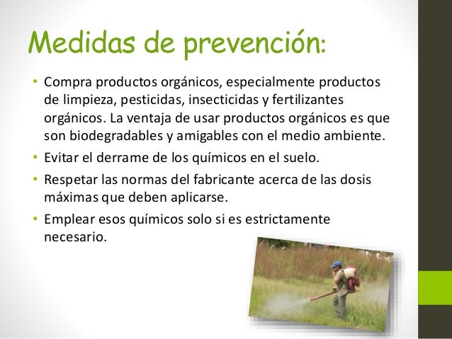 Qu son los insecticidas