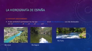 LA VERTIENTE MEDITERRÁNEA
 A esta vertiente le pertenecen los ríos que desembocan en el Mar Mediterráneo. Los más destacados
son: el Guadalhorce, el Ebro, el Júcar, el Segura y el Turia.
Río Júcar Río Segura
Río Turia
 