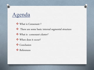 Agenda
 What is Consonant ?
 There are some basic internal segmental structure
 What is consonant cluster?
 When does it occur?
 Conclusion
 References
 