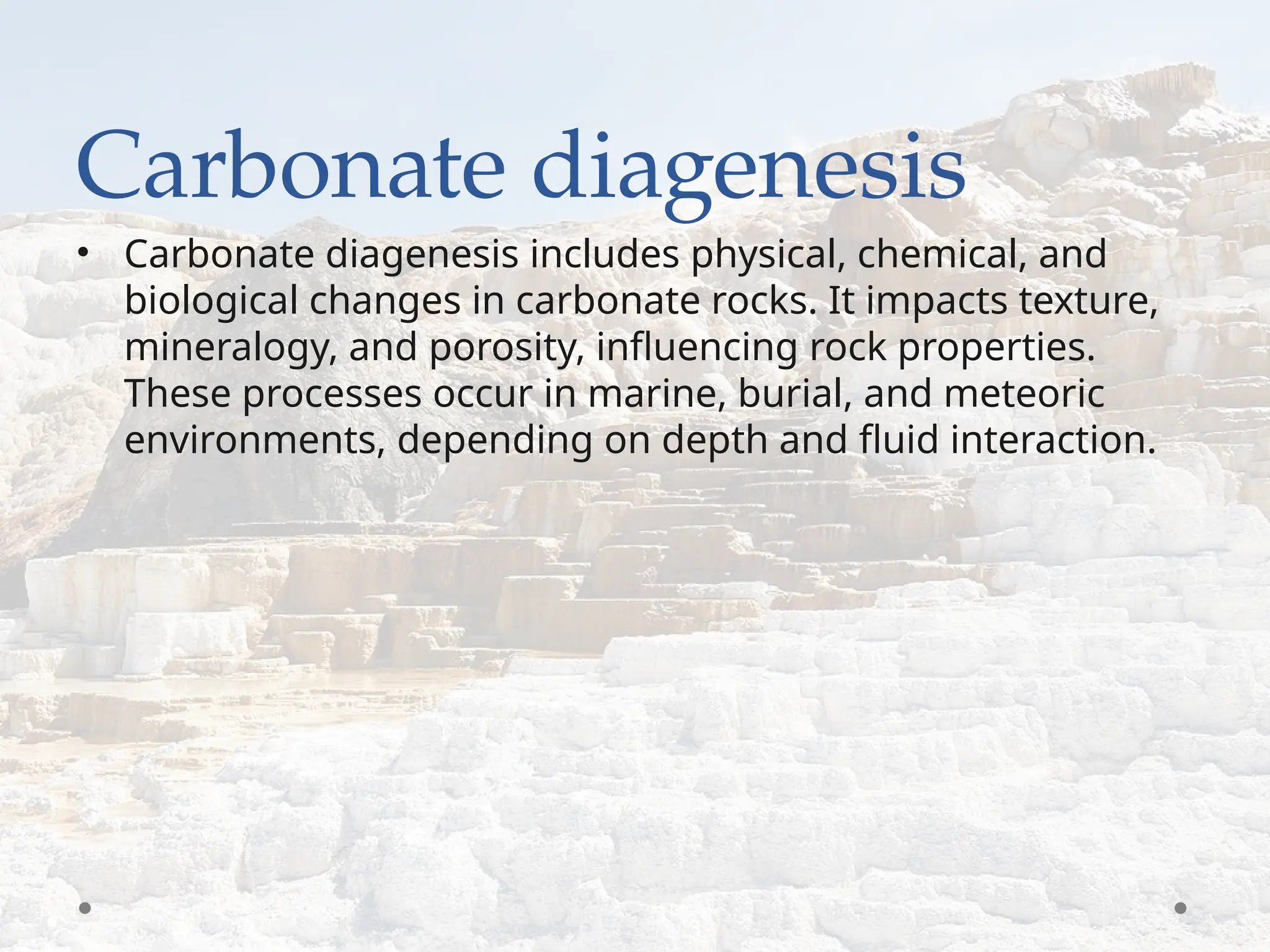Curated visual reference: Visual Reference: Diagenesis Of Carbonate