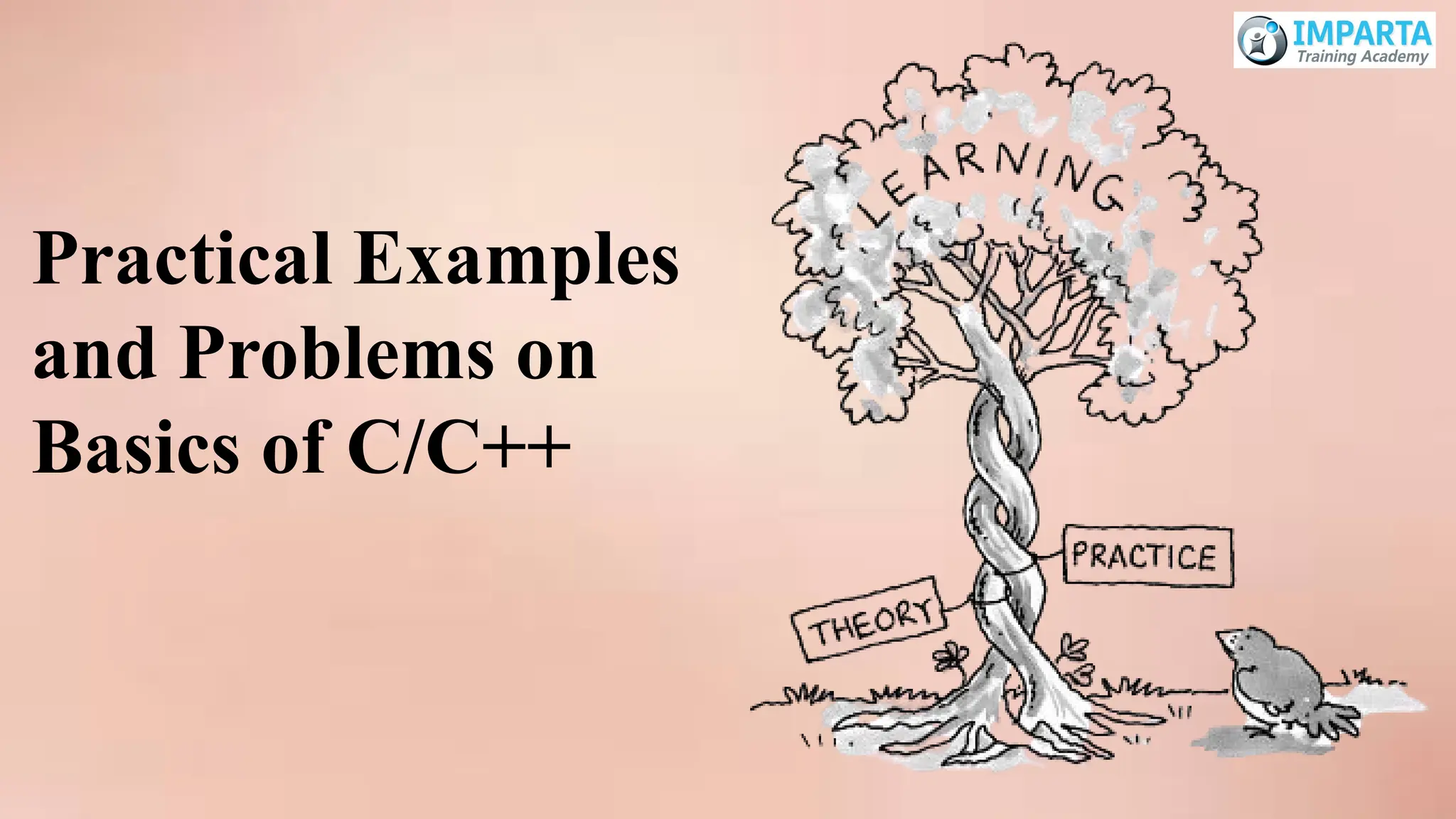 Practical Examples
and Problems on
Basics of C/C++
 