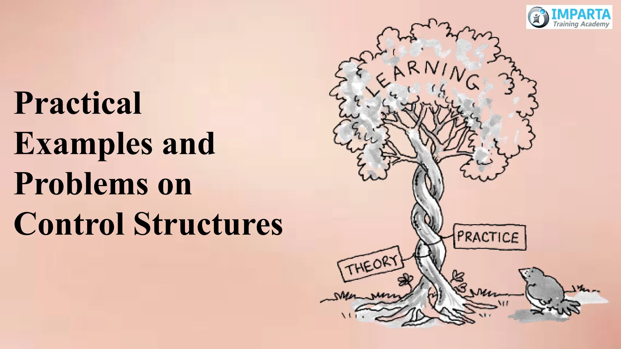 Practical
Examples and
Problems on
Control Structures
 