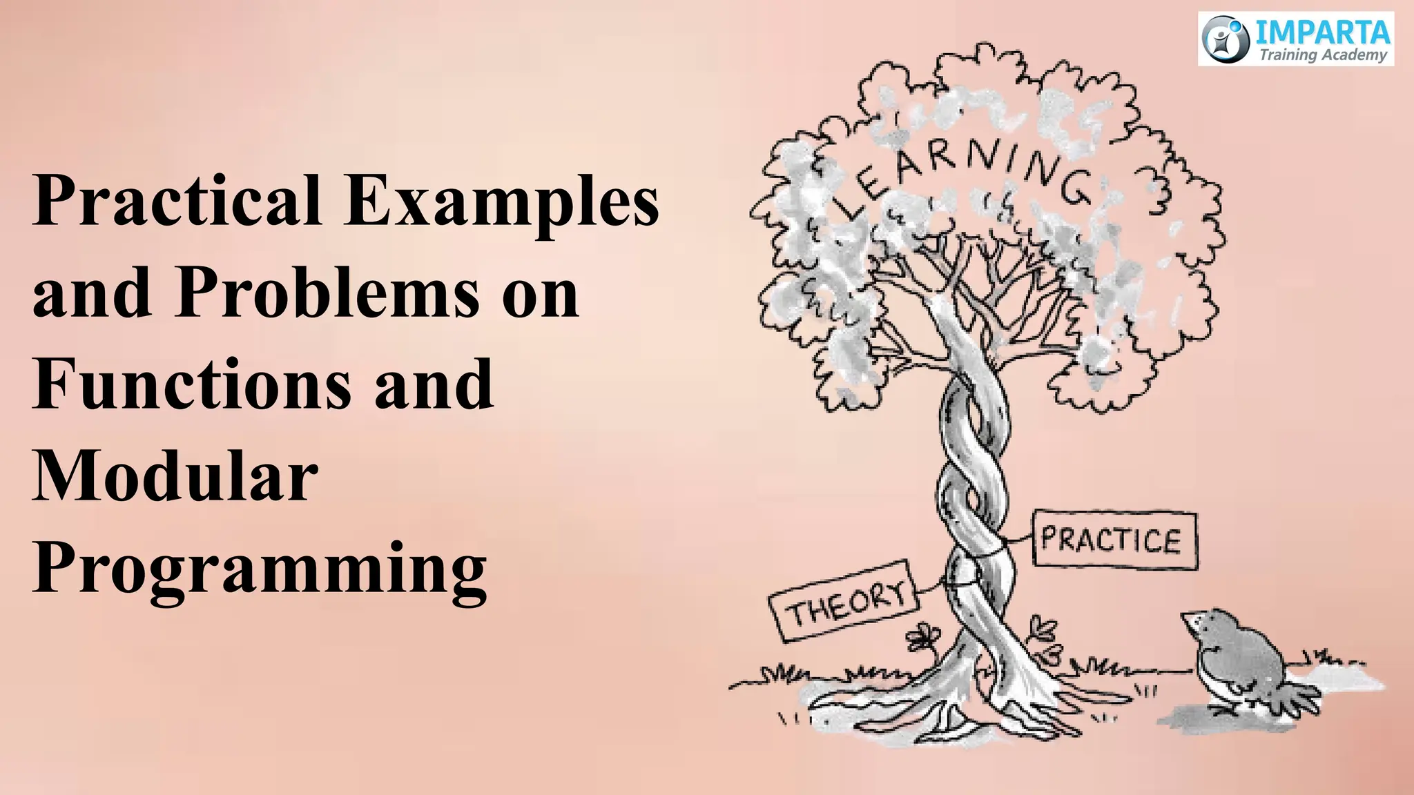 Practical Examples
and Problems on
Functions and
Modular
Programming
 