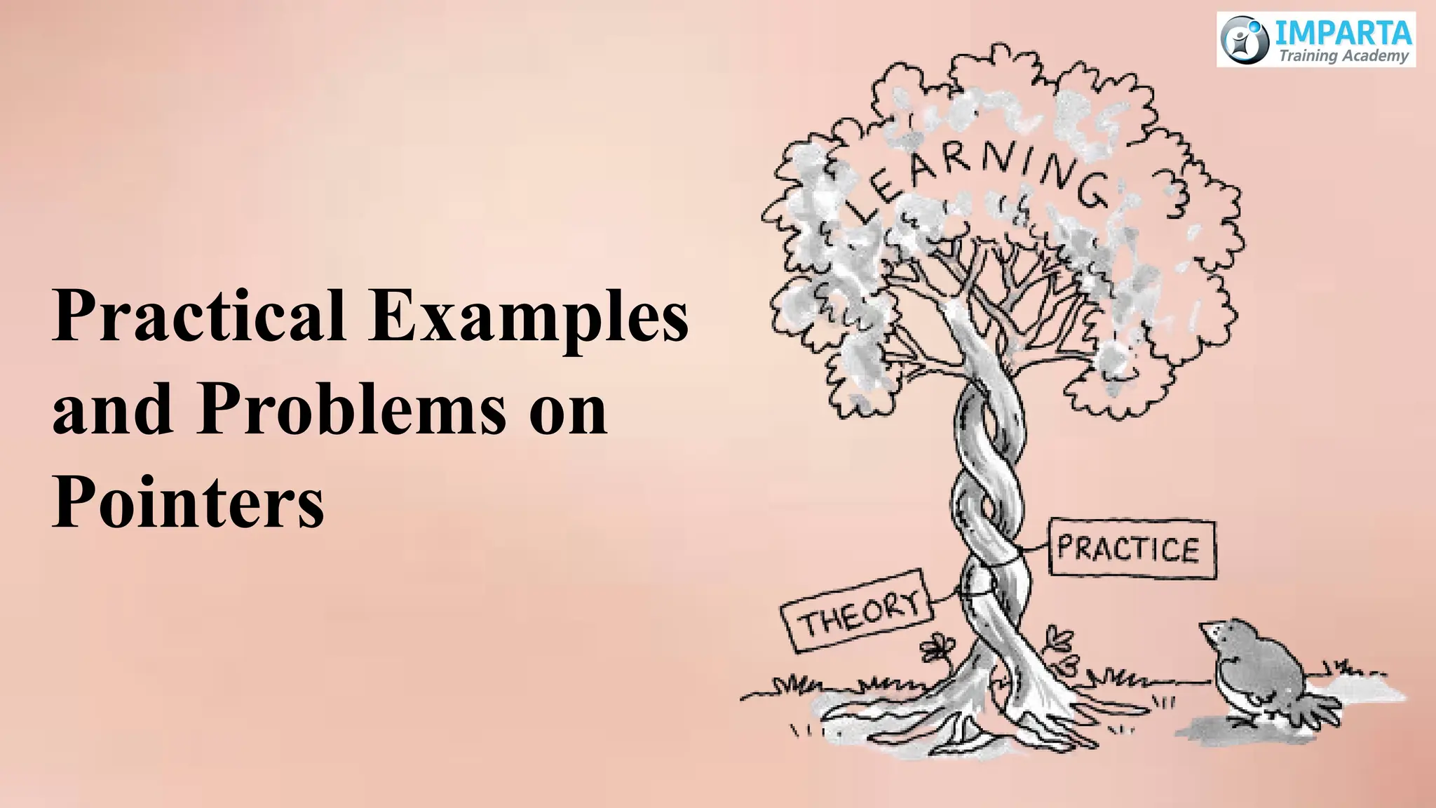 Practical Examples
and Problems on
Pointers
 